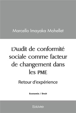 L'audit de conformite sociale comme facteur de changement dans les pme - retour d'experience
