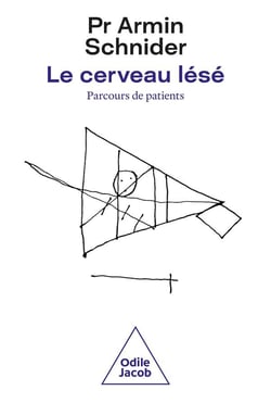 Le cerveau lésé - parcours de patients : fonctions atteintes et récupération