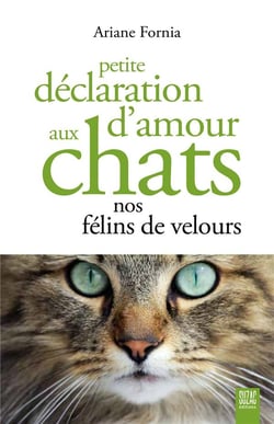 Petite déclaration d'amour aux chats, nos félins de velours
