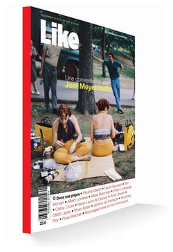 Like Hors-Série n°2 : Une conversation avec Joel Meyerowitz