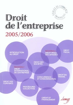 Droit de l'entreprise (edition 2005/2006)
