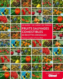 Fruits sauvages comestibles