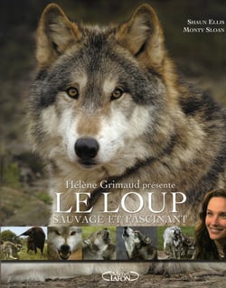 Le loup, sauvage et fascinant