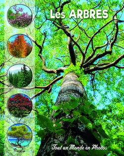 Tout un monde en photos : les arbres