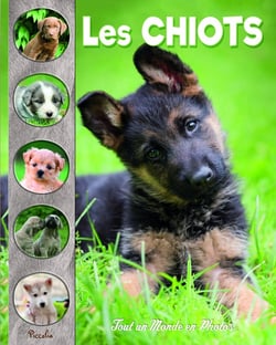 Tout un monde en photos : Les chiots