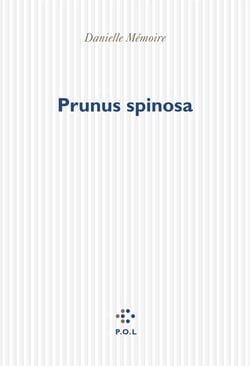 Prunus spinosa