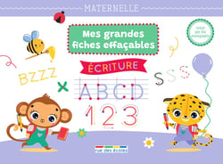 Mes grandes fiches d'entraînement effaçables : lettres et chiffres