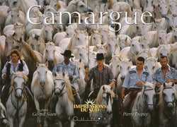 Camargue