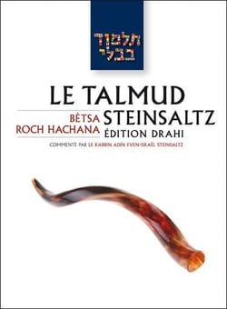 Le talmud steinsaltz t.11 -  bètsa roch hachana
