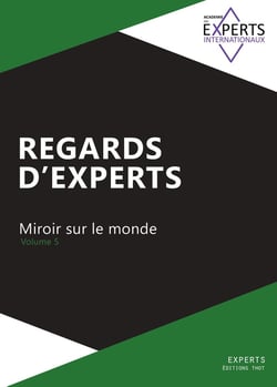 Regards d'Experts, tome 5 : miroir sur le monde