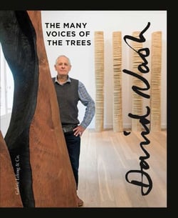 David Nash, the many voices of the trees