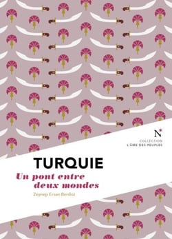 Turquie : un pont entre deux mondes