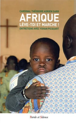 Afrique, lève-toi et marche ! entretiens avec Yohan Picquart
