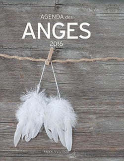 Agenda des anges (2016)