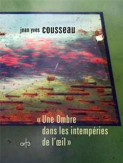 Une ombre dans les intempéries de l'oeil