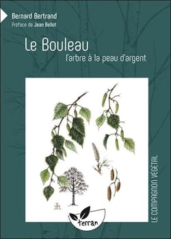 Le bouleau