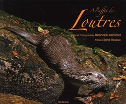 À l'affut des loutres