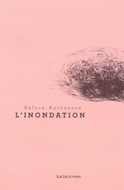 L'inondation