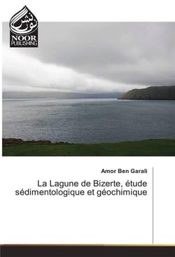 La lagune de bizerte, etude sedimentologique et geochimique
