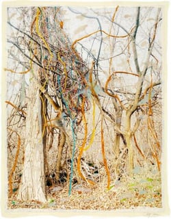 Roots & Waltz