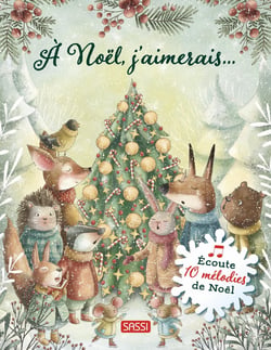 À Noël, j'aimerais...