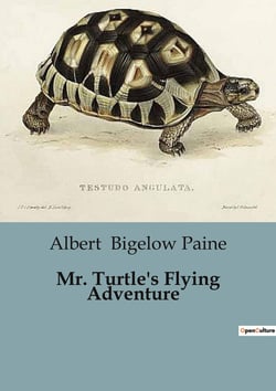 Mr. Turtle's Flying Adventure : A Whimsical Journey Through the Deep Woods
