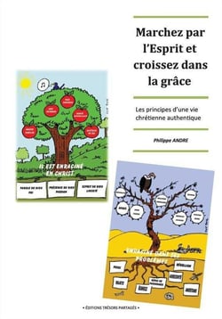 Marchez par l'esprit et croissez dans la grâce - les principes d'une vie chrétienne authentique