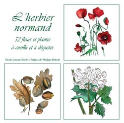 L'herbier normand : 52 fleurs et plantes à cueillir et à déguster