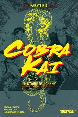 Cobra kai - l'histoire de johnny