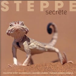 Steppe secrète