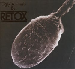 Ugly animals