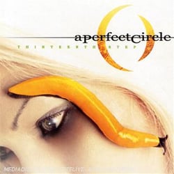 Thirteenth step