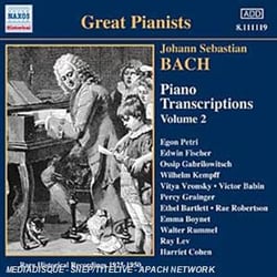 Transcriptions Pour Piano /vol.2