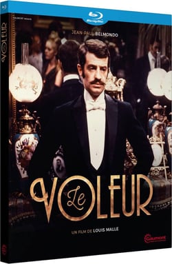 Le Voleur