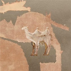 Corsano, Maranha, Youngs