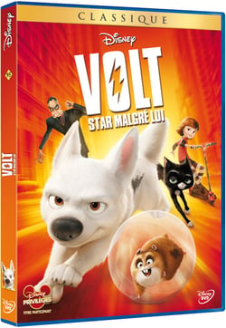 Volt, star malgré lui