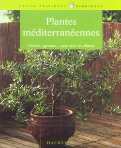 Plantes mediterraneennes. oliviers, agrumes... pour tous les climats
