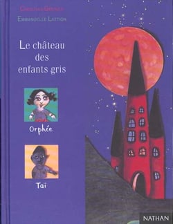 Chateau des enfants gris