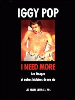 I need more - les Stooges et autres histoires de ma vie