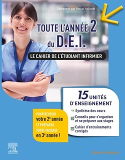 Toute l'année 2 du DEI - le cahier de l'étudiant infirmier - 15 UE : synthèse des cours + conseils (2e édition)