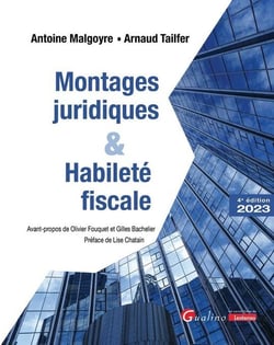Montages juridiques et habileté fiscale (4e édition)