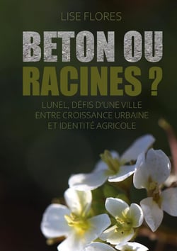 Béton ou Racines ? : Lunel, défis d'une ville entre croissance urbaine et identité agricole