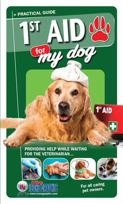 1st aid for my dog