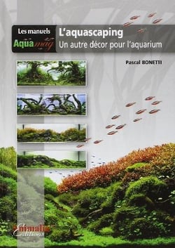 L'aquascaping, un autre décor pour l'aquarium