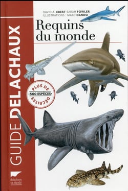 Requins du monde - plus de 500 espèces décrites