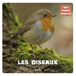 Cherche et trouve géant : les oiseaux - mon premier animalier
