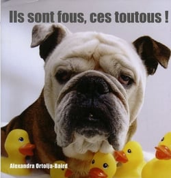 Ils sont fous, ces toutous