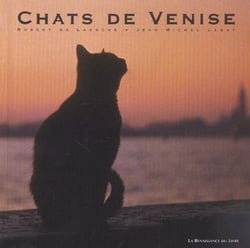 Chats de venise