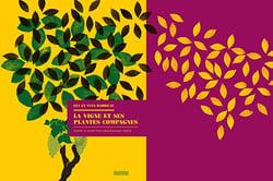 La vigne et ses plantes compagnes - histoire et avenir d'un compagnonnage végétal