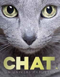 Chats, un univers fabuleux